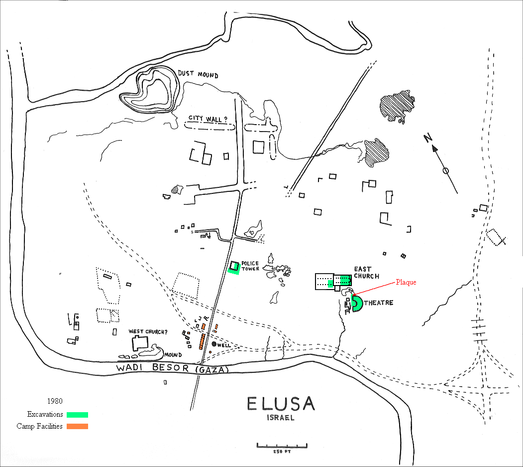 Elusa Site Map 1980